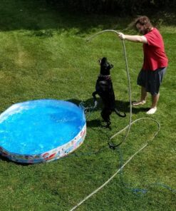 Intex Snorkel Buddies Snapset Pool - 5'X10" (Style May Vary) 25 91WAl0P9HBL