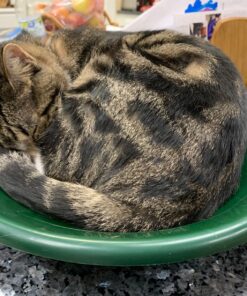 SE 14 Inch Gold Panning Pan - Dual Riffles for Easier Mining and Prospecting, Green 14" 27 91WGHuRaN6L