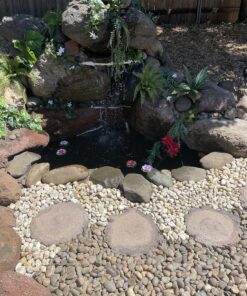 Aquascape 98949 Beneficial Bacteria Concentrate for Pond and Water Features, 1.1-Pound, white 31 91WY19vb6GL