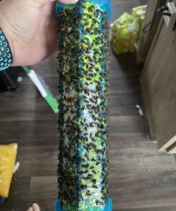 RESCUE! Fly TrapStik – Indoor Hanging Fly Trap Green 28 91WcxxMdraL