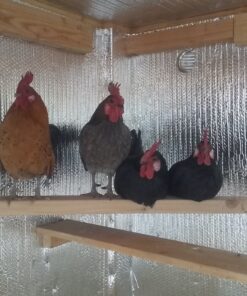 Reflectix BP24010 Series Foil Insulation, 24 in. x 10 ft, Multicolor 24 in. x 10 ft. 34 91WgTl5fv6L