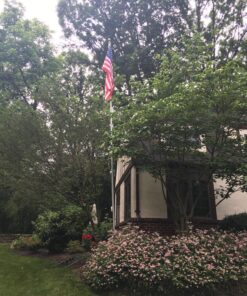 T.W Evans Cordage 44-083 1/4-Inch Solid Braid Nylon Rope 50-Feet Hank 13 91WgcfuzSIL