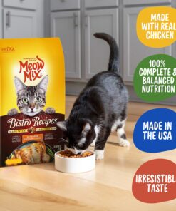 Meow Mix Bistro Recipes Dry Cat Food, Rotisserie Chicken Flavor, 12 Pound Bag 12 Pound (Pack of 1) 23 91WjvUjfsrL