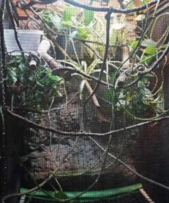 Zoo Med ReptiBreeze Open Air Screen Cage, Extra Large, 24 x 24 x 48-Inches 48 91WpC2V4XLL