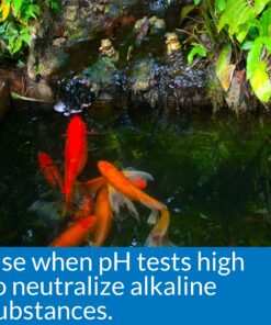 API POND pH DOWN Pond Water pH Reducing Solution 16-Ounce Bottle, White, Model:170B 8 91Wyxiz3CpL