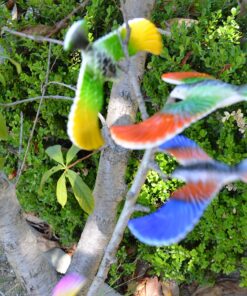 Balancing Bird Toy 6.5 Inch Wing Span-Colors May Vary by C&H Solutions 9 91X3uBPFZ1L