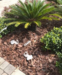 Fun Express Bag of Skeleton Bones - 28 Piece Set 25 91X5 RtLfZL