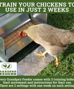 Grandpa's Feeders Automatic Chicken Feeder - Sturdy Galvanized Steel Poultry Feeders - No Spill with Weatherproof Lid - Standard Size for 6-12 Chickens 10 Days (20lb Feed) Silver 14 lb 27 91X7OuSAPL