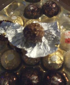 Ferrero Collection, 24 Count, Premium Gourmet Assorted Hazelnut Milk Chocolate, Dark Chocolate And Coconut Chocolates, Luxury Chocolate Holiday Gift Box 24 Count (Pack of 1) 43 91XBXODCHUL