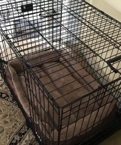 MidWest Homes for Pets Dog Crate Life Stages 36' Double Door Folding Metal Dog Crate | Divider Panel, Floor Protecting Feet, Leak-Proof Dog Pan | 35.63 in x 24.45 in x 21.93 in ,Intermediate Dog Breed 36.0"L x 23.0"W x 25.0"H Lifestages; Double Door 42 91XEysIglxL