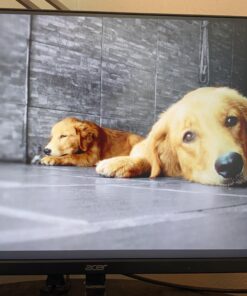 Rankie DisplayPort (DP) to HDMI Cable, 4K Resolution Ready, 6 Feet Black 35 91XG 147nNL