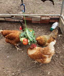 Ware Manufacturing Chick-N-Veggie Treat Ball 19 91XGnEDKvcL