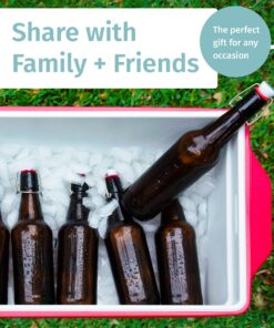 Otis Classic Swing Lid Glass Bottles with Lids Flip Stoppers for Second Fermentation Kombucha Water Kefir Brewing Beer Set of 6 16 oz Amber Amber - Plastic Lids 29 91XKICRchdL