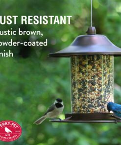 Perky-Pet 312-1SR Outdoor Panorama Wild Bird Feeder - 2 Lb Seed Capacity Brown 26 91XRxv5eKaL