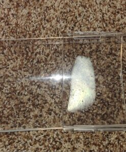 Frost King Unbreakable Heat and Air Deflector, Clear Plastic, 2 3/4” Tall, Width Adjustable 10” to 14” Unbreakable, expands 10" to 14" 46 91XWybLuJbL