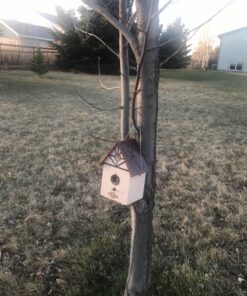 PetSafe Outdoor Ultrasonic Bark Control - Viral on TikTok - No Barking Deterrent for All Dog Sizes - Up to 1/4 Acre Coverage - Weatherproof - Great for Backyards - Bird House Design Standard 32 91XYGrsT3lL