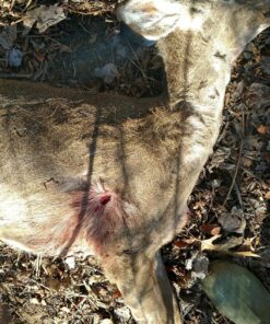 Swhacker SWH00207 #207 2 Inch Cut Broadheads Set of 3-100 Grain, Green, 2" 47 91XYPMP9BmL