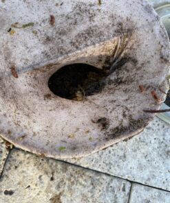 IMPRESA 10-Pack of Pool Skimmer Socks - Excellent Savers for Filters, Baskets, and Skimmers - The Ideal Sock/Net/Saver to Protect Your Inground or Above Ground Pool 38 91Xj5PiT0L