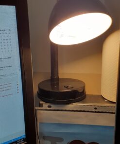 Simple Designs LD1003-BLK Basic Metal Flexible Hose Neck Desk Lamp, Black 1 41 91Xm3C3VEL