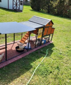 Manna Pro Harvest Delight - Whole Ingredient Chicken Treat - Harvest Mix of Grains, Raisins, Tomatoes, Carrots, Sunflower Seeds - Mixed Flock Poultry Treat - 2.5 lbs 23 91XoHQXSuJL