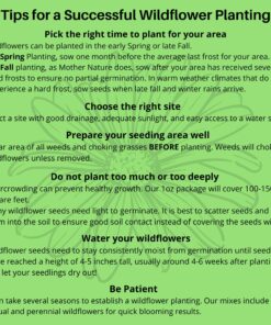 Hummingbird Nectar Wildflower Seeds Bulk Open-Pollinated Wildflower Seed Mix Packet, Non-GMO, No Fillers, Annual, Perennial Wildflower Seeds Year Round Planting - 1 oz 62 91Y44Tgo1NL