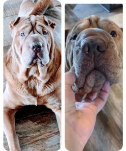 Pawstruck USDA Organic Natural Ruff Relief Wax Balm for Dogs – Moisturizes, Protects, and Heals Noses & Paws – Made in USA, Non-Toxic, Hypoallergenic - 1.75 oz 43 91Y5T9apshL