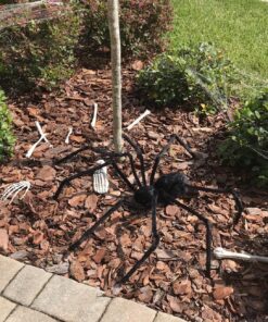 Fun Express Bag of Skeleton Bones - 28 Piece Set 26 91Y8u02kFGL