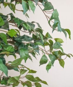 Nearly Natural 7ft. Ficus Artificial Tree, Green 84 in Trees 25 91YAs3txxZL