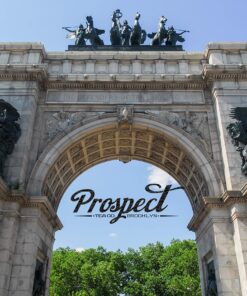 Prospect Tea White Bengal Darjeeling Tea Pods Compatible with K Cup Brewers Including 2.0, 40 Count 14 91YD2zmyw0L