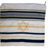 Holy Land Market Bag for Acrylic Tallit/Tallis (11 x 11 Inch) - Star of David (Bag only) 20 91YDugptGL