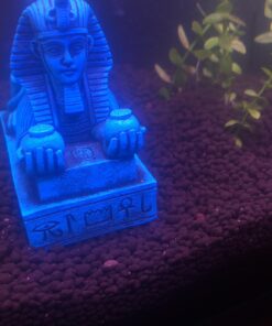 Blue Amenhotep III Sphinx Egyptian Figure Collectible 17 91YSRjvon6L