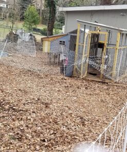 Premier 48" PoultryNet® Electric Fence 12/48/3, 164', Double Spike, White 19 91YW 1Jye3L
