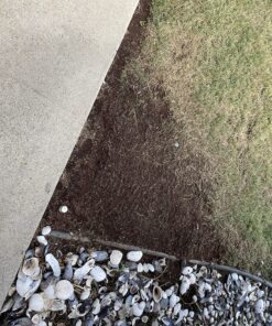 Scotts EZ Seed Patch and Repair Sun and Shade for Grass: Covers up to 225 sq. ft., 10 lb. 10 lb. 1 Pack 61 91YYZUV3JWL