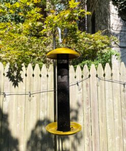 LEBANON SEABOARD SEED CORP 26-47273 Nyjer Seed, 3 lb. 15 91YZp17aHvL