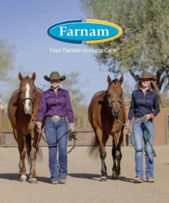 Farnam Apple Elite Horse Electrolyte Powder, Replaces minerals lost in sweat during exercise, extreme weather & stressful conditions, 5 lb., 40 day supply 5 pounds 19 91Yc7qvclYL