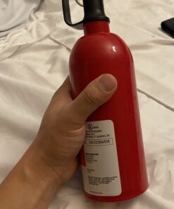 FIRST ALERT AUTO5 Car Fire Extinguisher, FESA5, UL RATED 5-B:C, Red, 1-Pack 29 91YvnkPmh9L