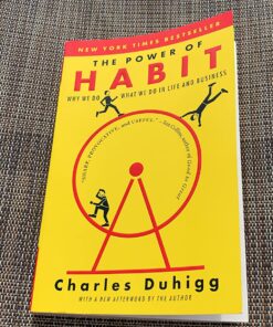 The Power of Habit: Why We Do What We Do in Life and Business 13 91Z3E7Jt38L