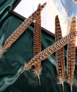 THARAHT 24pcs Female Ringneck Pheasant Tails Feathers Natural Feathers 10-12inch 25-30cm for Crafts Home Wedding Party Performance DIY Decoration Female Pheasant Feathers Female Pheasant feather-10-12inch 15 91Z7tjEdrTL