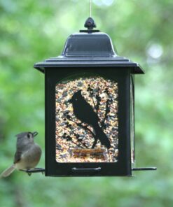 Perky-Pet 363 Birds and Berries Lantern Feeder 8.20 x 8.20 x 10.75 inches 12 91Z8McY8ZgL