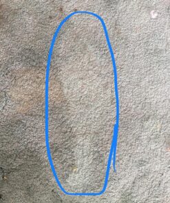 BISSELL Oxy Stain Destroyer Pet, 1784 (Packaging May Vary) 17 91ZABDS1LsL