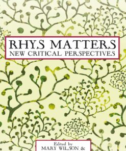 Rhys Matters: New Critical Perspectives (New Caribbean Studies)