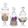 MyGift Clear Glass Apothecary Jars with Lid, Decorative Seashell Design Bathroom Canister, Footed Candy Buffet Containers, Set of 3 22 91ZF XPiz9L