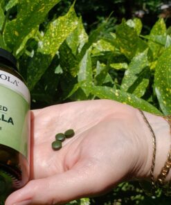 Dr. Mercola Fermented Chlorella with Chlorophyll, 90 Servings (450 Tablets), Dietary Supplement, Supports Immune and Organ Health, Non GMO, NSF Certified 19 91ZMCjlaTGL