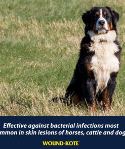 Farnam Wound-Kote Blue Lotion Spray Horse Wound Care for use on Horses and Dogs, Antiseptic Properties, for Minor Wounds, Cuts and Sores, 5 Oz 12 91ZMKNNu7NL