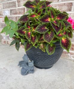 Pacific Trading Cat Gargoyle PC Computer Topper Figurine New 14 91ZPXd2YxXL