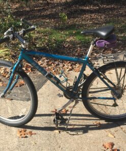 Schwalbe - Big Apple Hybrid and Touring Wire Clincher Bike Tire | Multiple Sizes | Performance Line, RaceGuard | Black or Black/Reflective 26x2.35-Inch 10 91ZSOq9UaPL