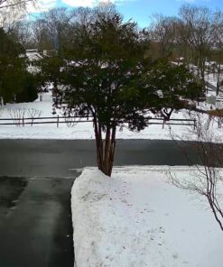 FOSCAM Outdoor Security Camera,G4 Full HD 4MP 2K WiFi Security Camera, Alexa Compatible, AI & Motion Detection, Free Cloud Service Included, 65ft Night Vision IP66 Weatherproof,Black 4MP Black 38 91Zdo9GRnL