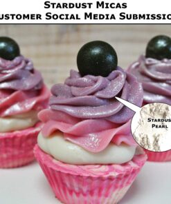 Stardust Micas Pigment Powder Cosmetic Grade Colorant for Makeup, Soap Making, Epoxy Resin, DIY Crafting Projects, Bright True Colors Stable Mica Batch Consistency (10 Gram Jar, Stardust Pearl) 10 Gram Jar 27 91Zezp8aRvL