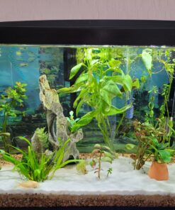 Carib Sea ACS05820 Super Natural Moonlight Sand for Aquarium, 5-Pound 5 lb 19 91Zi8tPDjkL