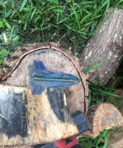 Estwing E-5 5 Lb Sure Split Wedge , Blue 52 91Zkg2CDC2L